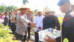 IMG-20250923-WA0048-768x512